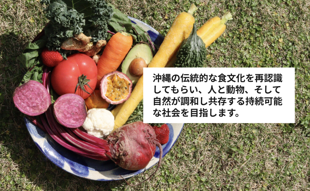 U2-4 Ryukyuトップ写真、沖縄の野菜の上に、「沖縄の伝統的な食文化を再認識してもらい、人と動物、そして自然が調和し共存する持続可能な社会を目指します。」とテキストが記載されている。
